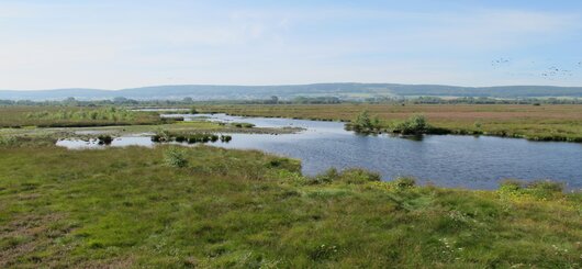 Großes Torfmoor