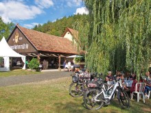 Bioweingut