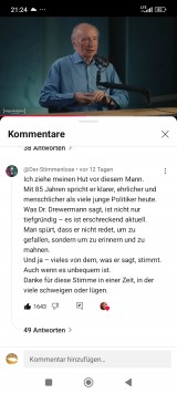 Kommentar. Bildschirmfoto: Sergej Perelman 