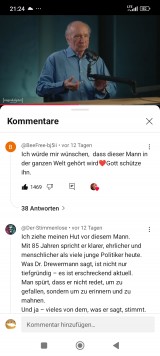 Kommentar. Bildschirmfoto: Sergej Perelman 